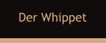 Der Whippet